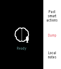 Brain Dump on Pebble Time 2